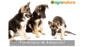 Formulario de Adopción de Mascotas Agronatura