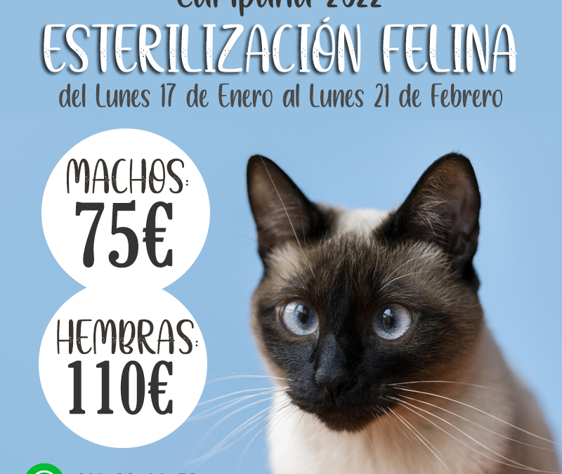 campaña-esterilización-felina-veterinaria-agronatura-reus copia