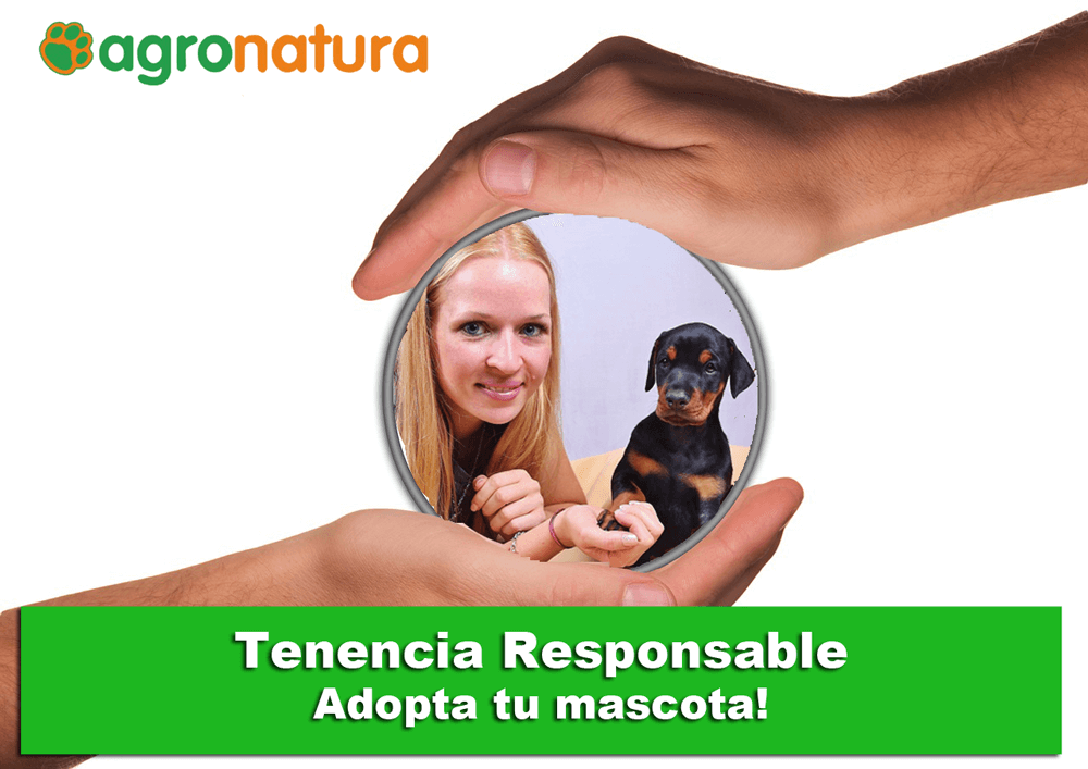Tenencia responsable – Adopta tu mascota – Agronatura