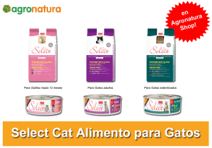 Select Cat alimento para gatos