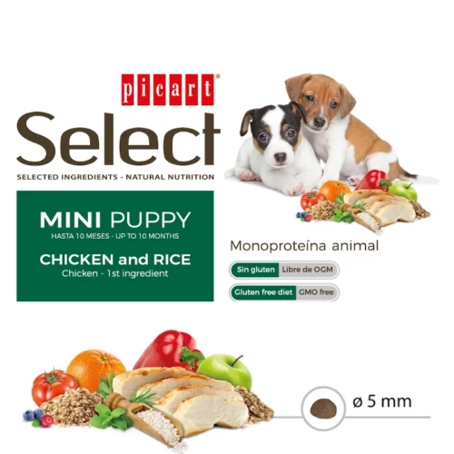 Select-Mini-Puppy-perro