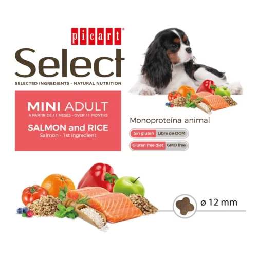 Select-Mini-Adult-Salmon-arroz-perro