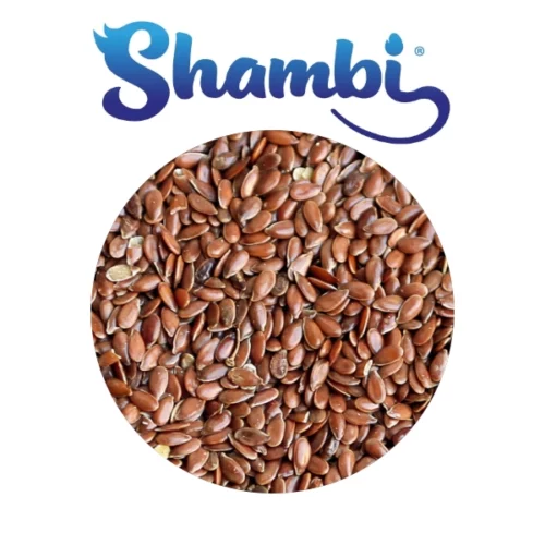 SHAMBI - Linaza 1 kg