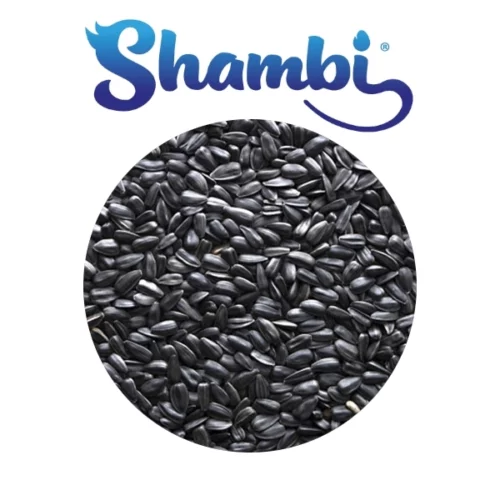 SHAMBI - Pipa negra 650 gr