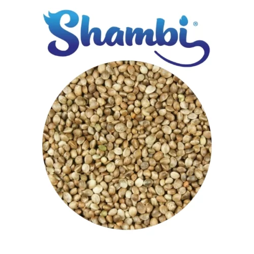 SHAMBI - Cañamon 900 gr