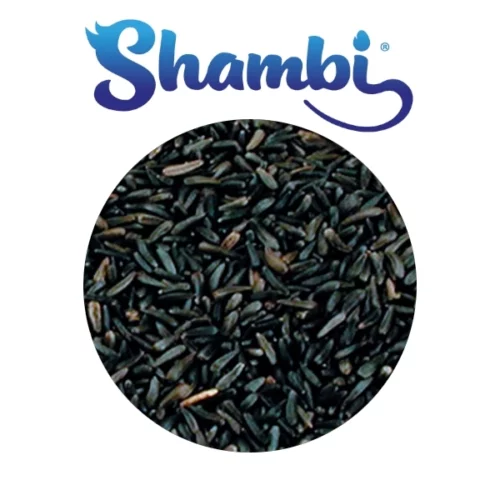 SHAMBI – Negrillo 1kg