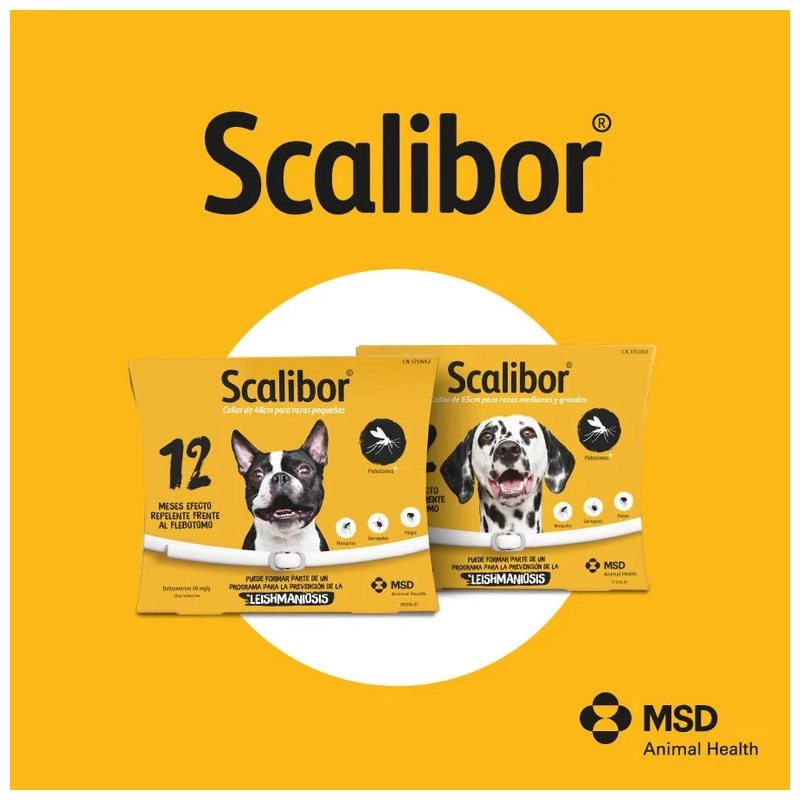 SCALIBOR g COLLAR PARA PERROS DE RAZAS MEDIANAS Y GRANDES